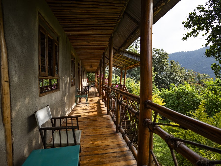 CTPH Gorilla Conservation Camp