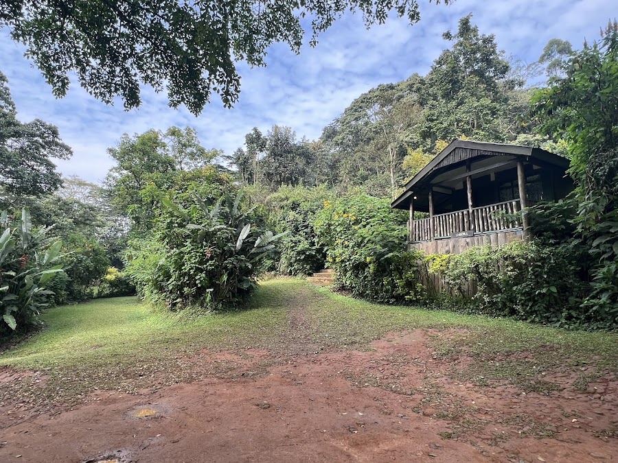 Bwindi View Lodge & Camp Site
