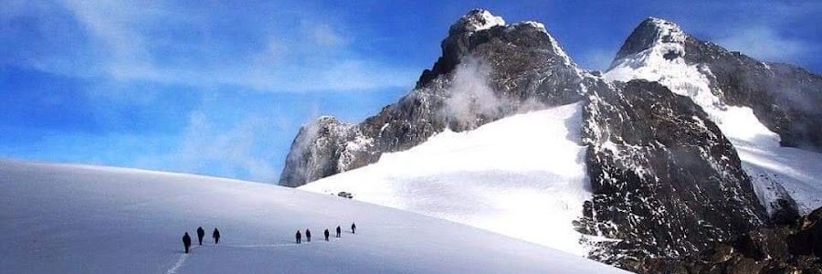 Wild Homeland Safaris