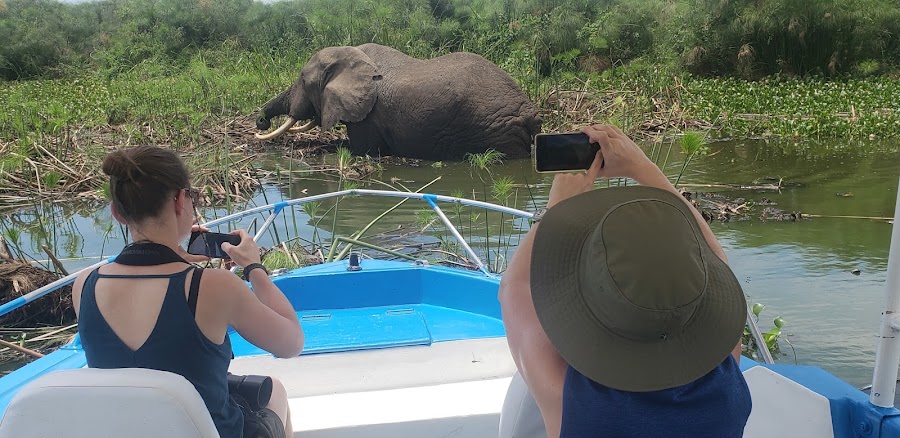 Paradisenaturetours