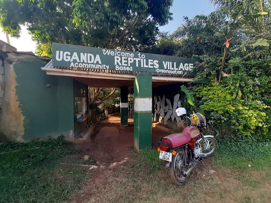 Reptile Village In Entebbe