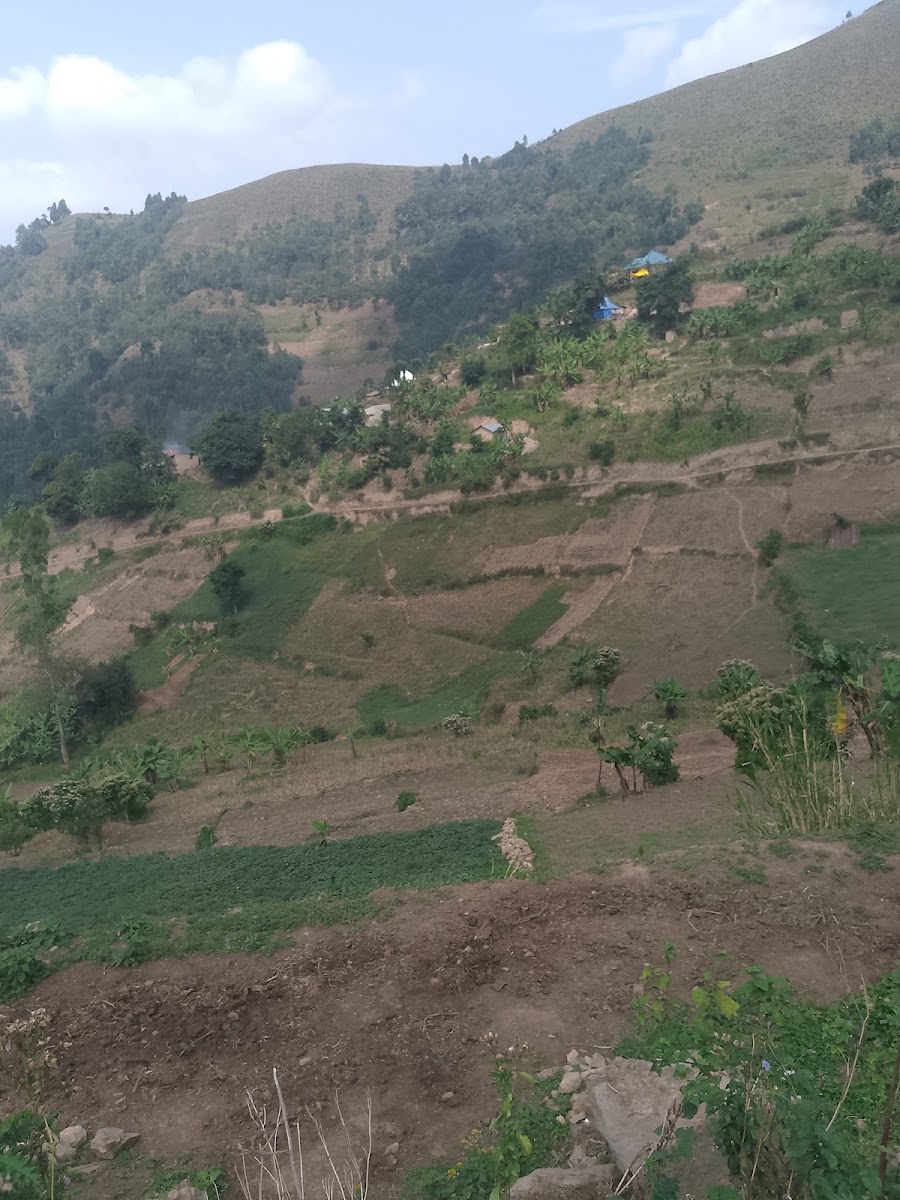 Kanaba Corner