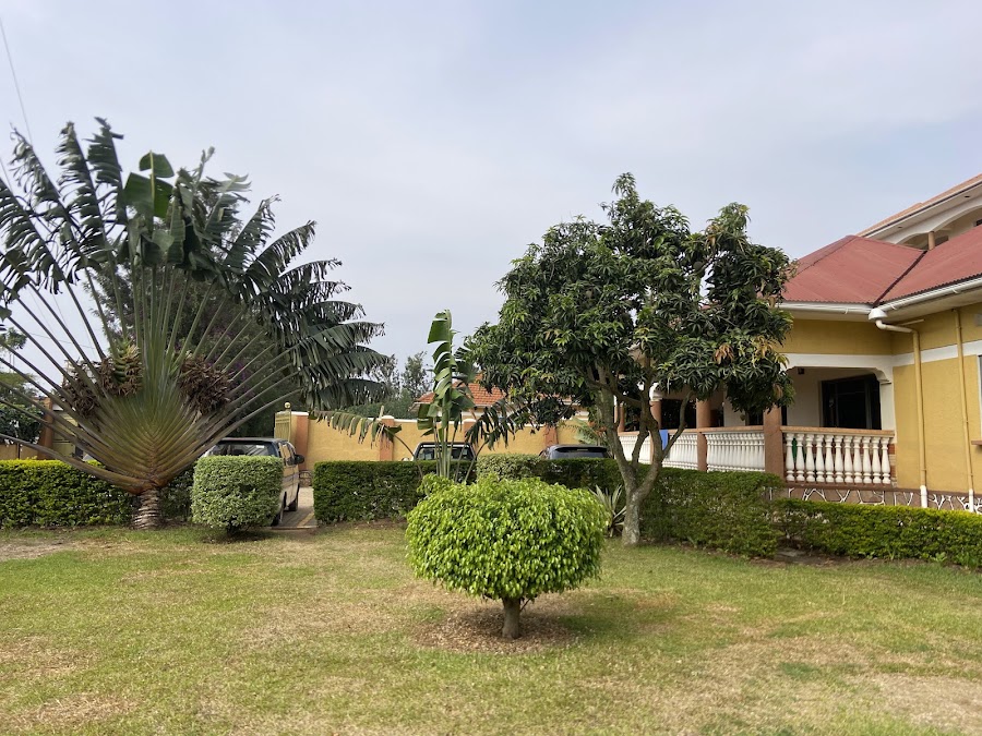 Rhino Motel