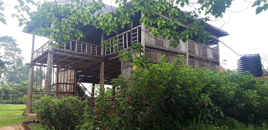 Jungle lodge kibale national park