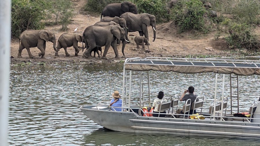 Kazinga channel community boat cruise.
