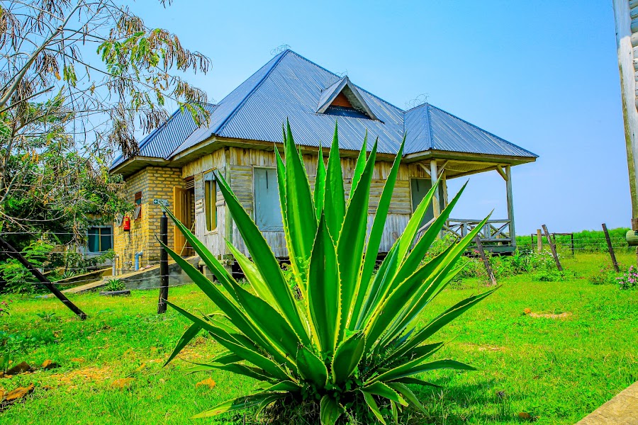 Tembo Safari Lodge Katunguru