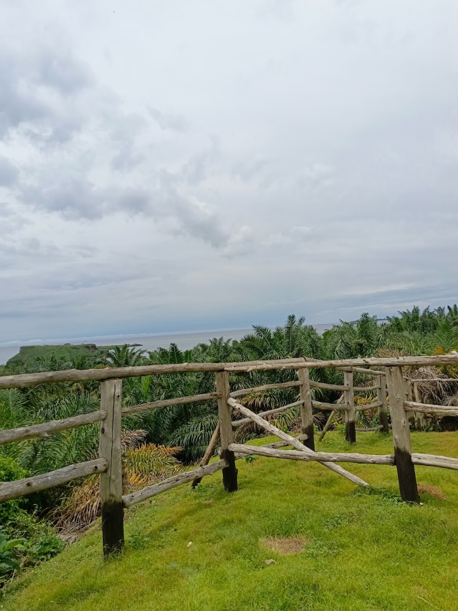 Ssese Palm Beach Resort