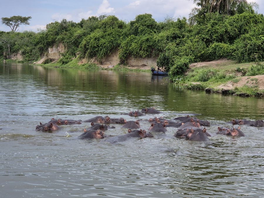 Kazinga Safe Boat Tour