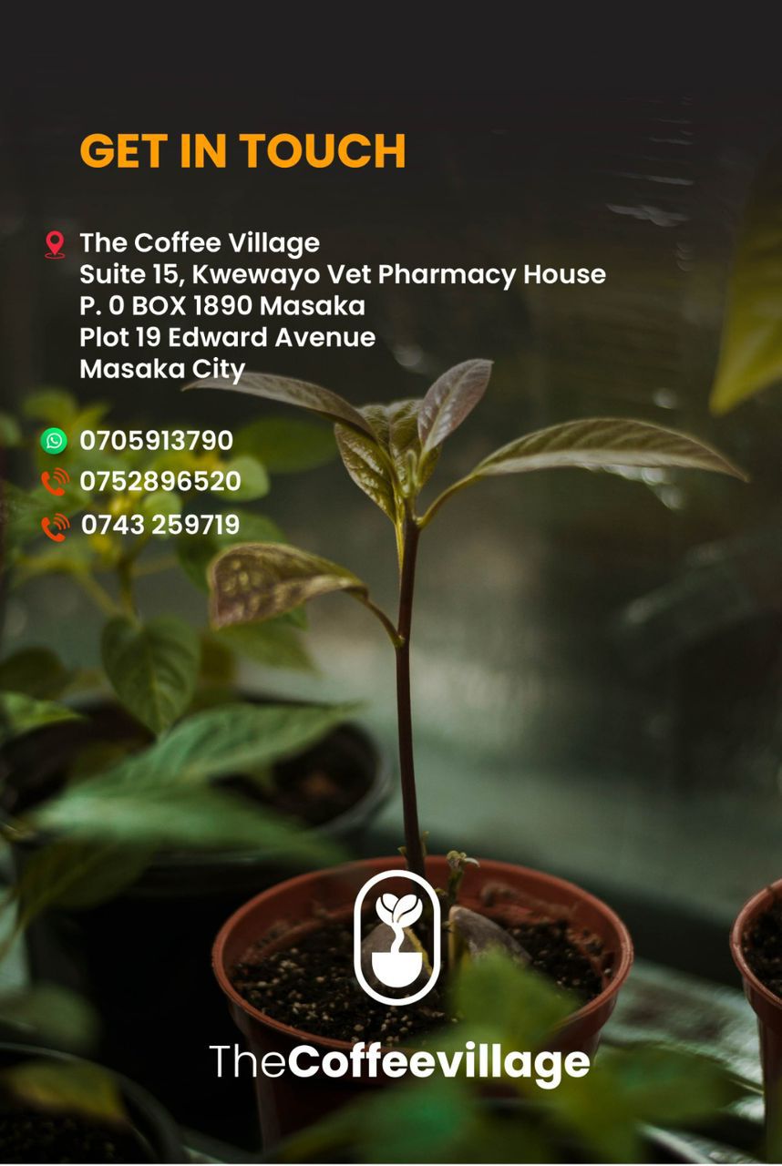 The Coffee Village