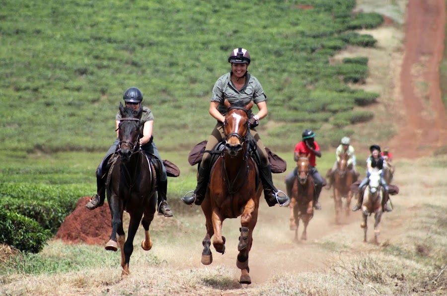 Nile Horseback Safaris