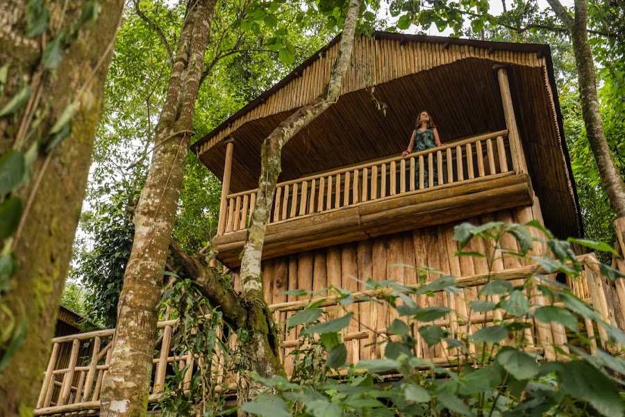 Buhoma Lodge - Bwindi Impenetrable Forest