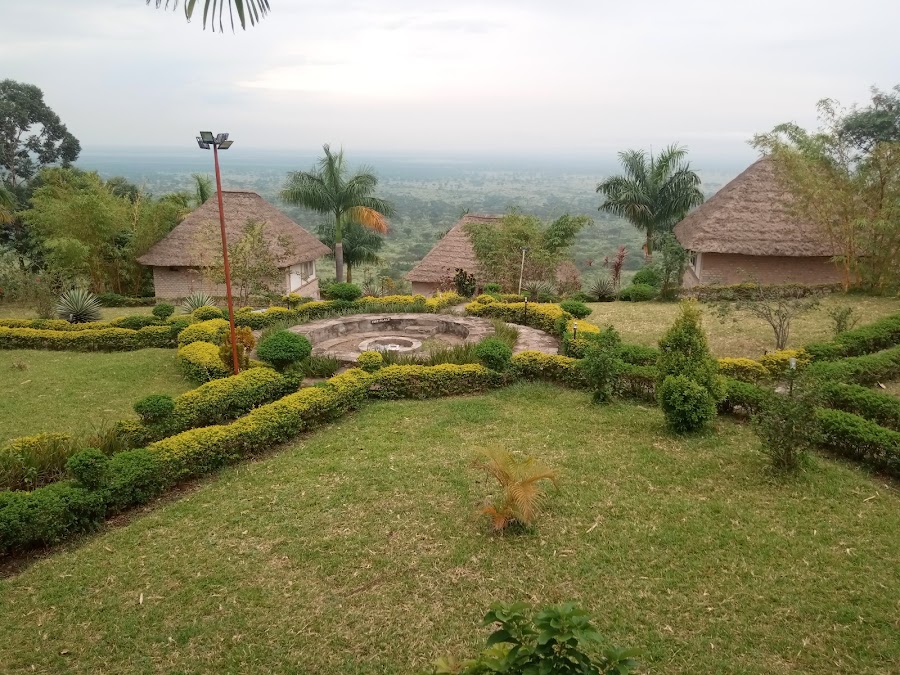The Baboon Safari Hotel