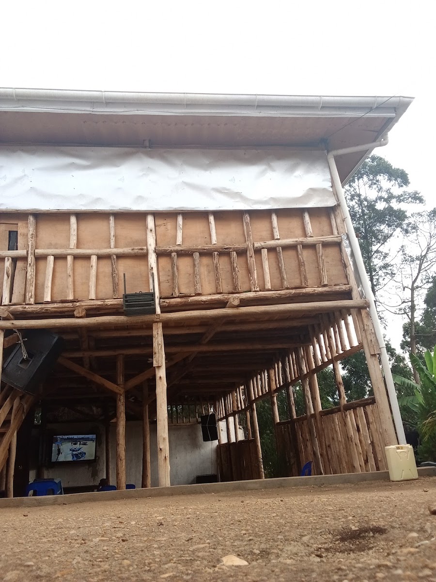 FOREST VIEW GUEST HOUSE & BAR