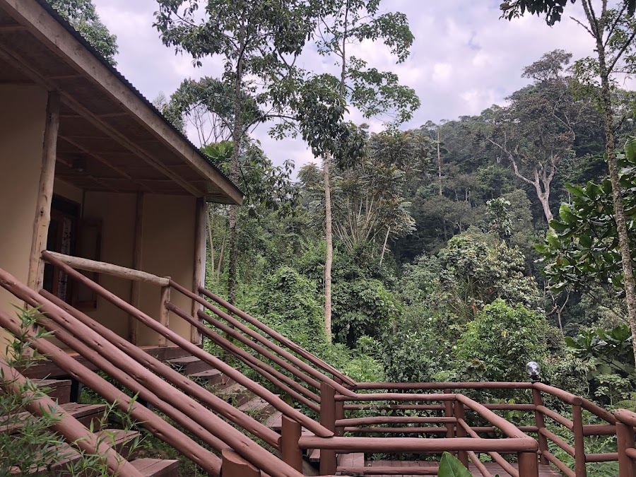 NSHONGI CAMP