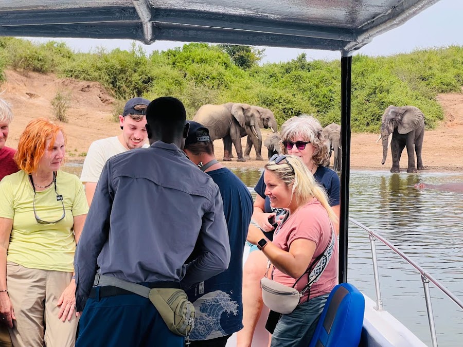 Wildlearn expeditions