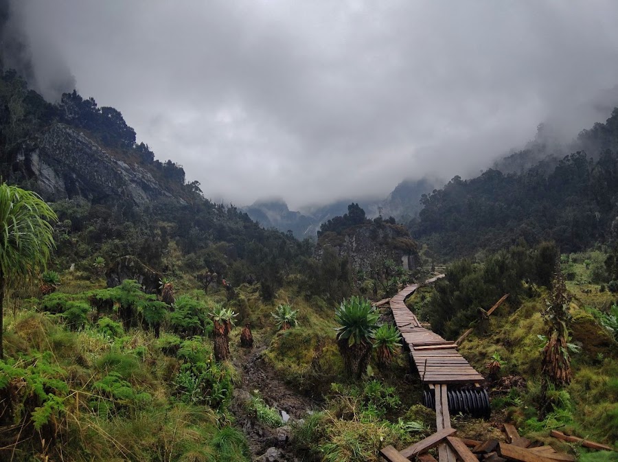 Rwenzori Hantravel Safaris