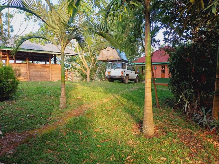 Green Home Cottages and Campsite