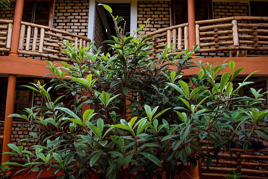Elite Backpackers Services Masaka