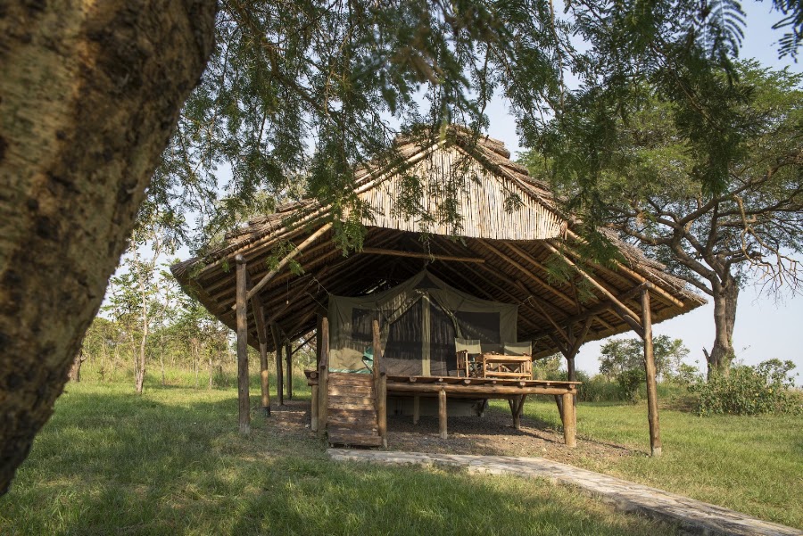 Bwana Tembo Safari Camp