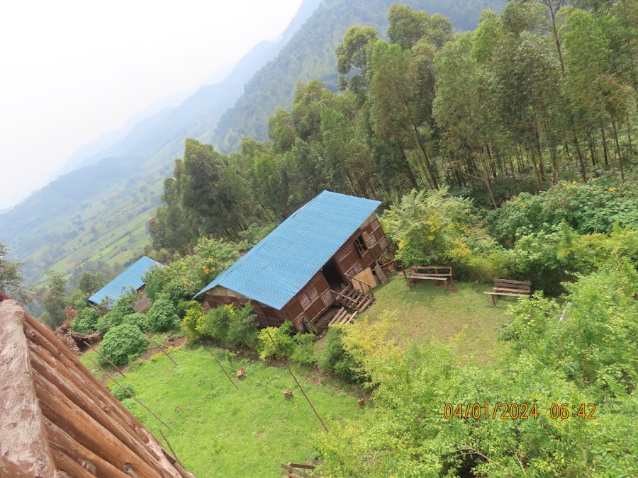 Mubare Biodiversity Conservation