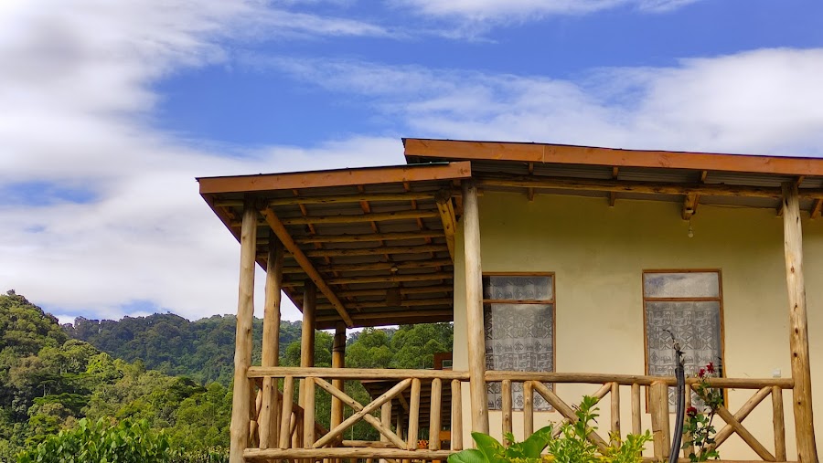 Bweza Gorilla Lodge
