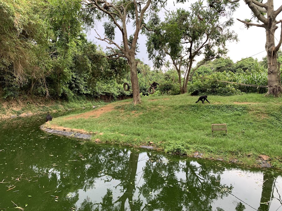 Wildlife Education Center