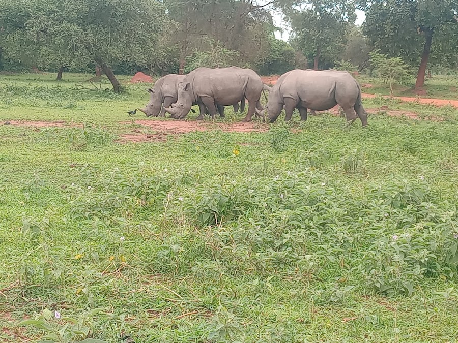 NATURE AND WILDLIFE TOURS