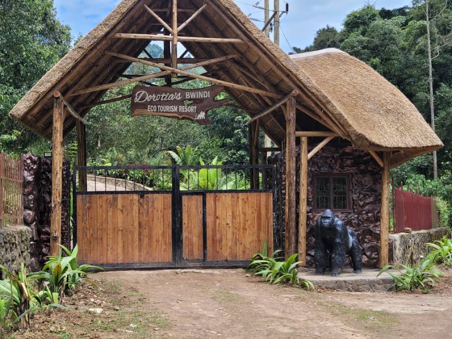 Dorotia's Bwindi Eco Tourism Resort