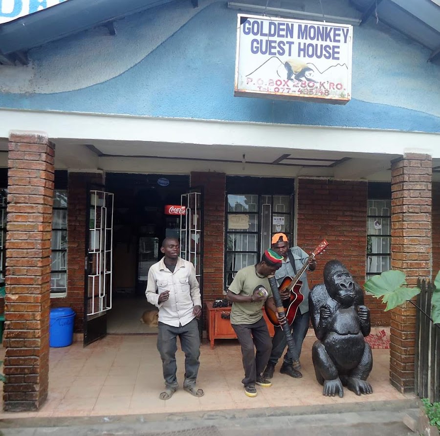 Golden Monkey Guesthouse