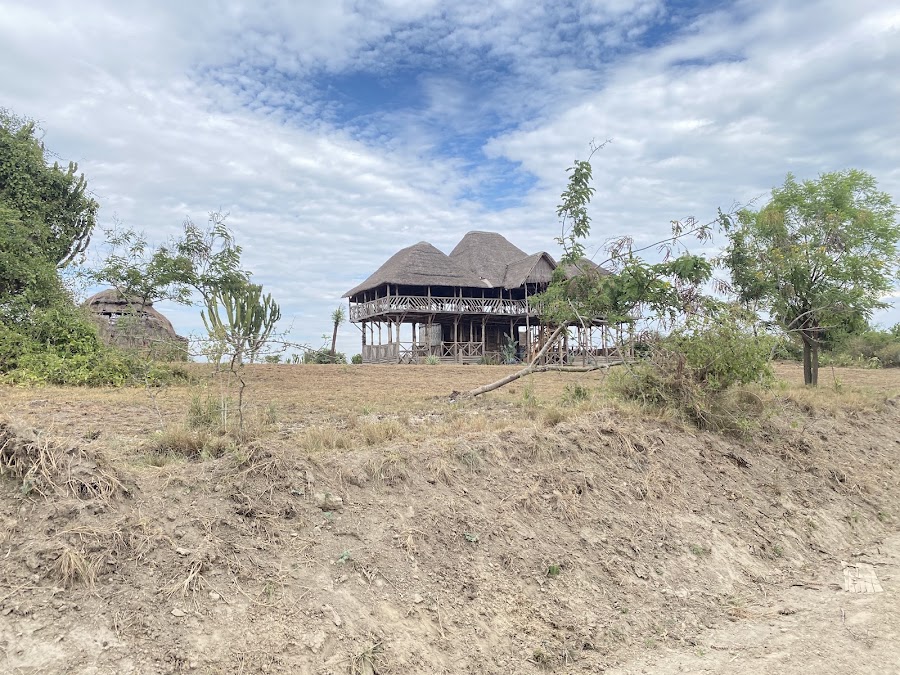 Forest Hog Safari Camp