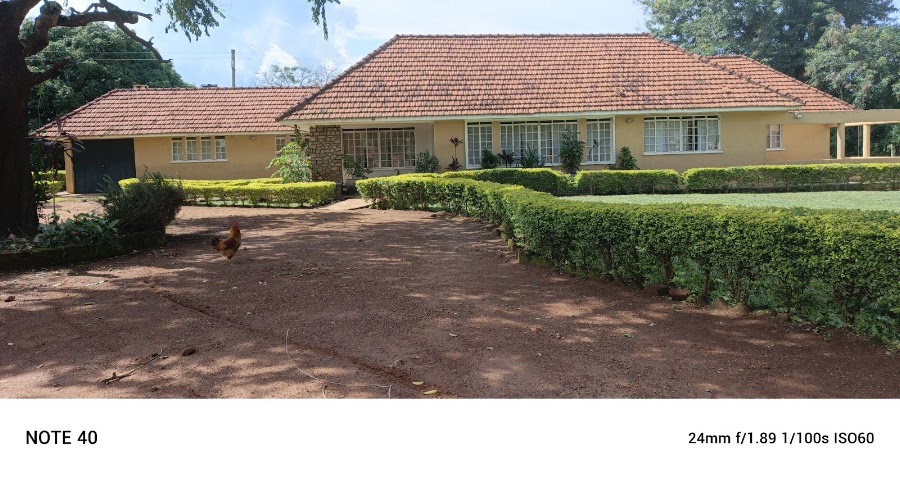 Cheliz Apartments and AirBNB